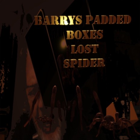 Barry's Padded boxes | Boomplay Music