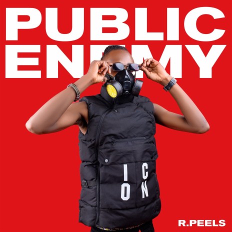 Public Enemy | Boomplay Music