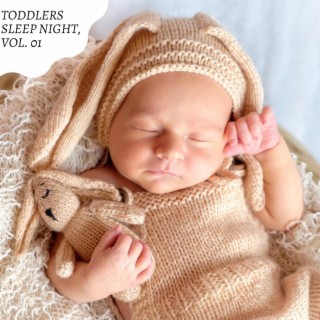Toddlers Sleep Night, Vol. 01
