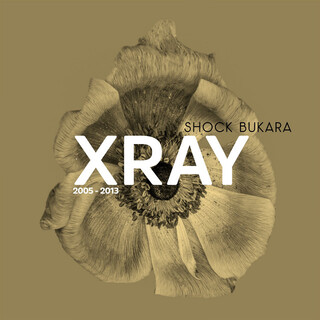 Xray 2005-2013