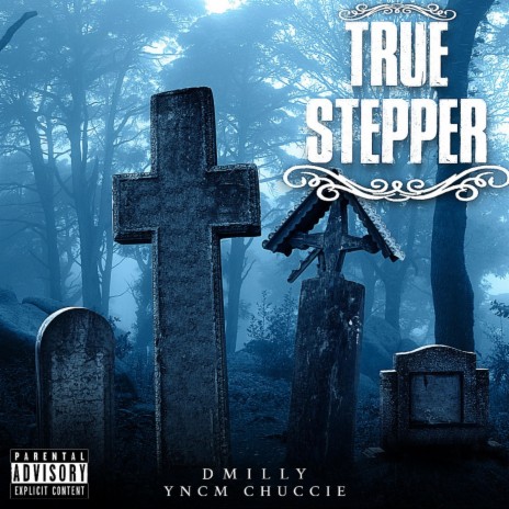 True Stepper ft. Yncm Nosense | Boomplay Music