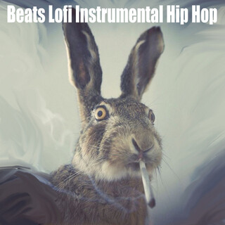 Beats Lofi Instrumental Hip Hop