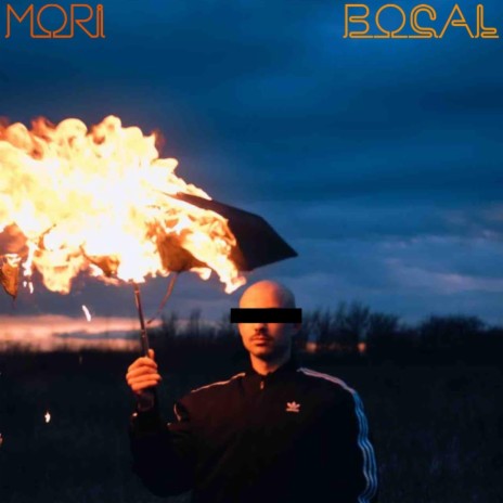 bocal | Boomplay Music