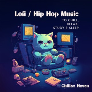 Lofi / Hip Hop Music To Chill, Relax, Study & Sleep