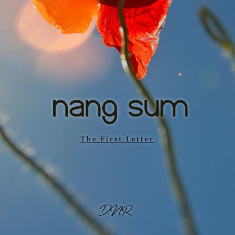 Nang sum_DNR | Boomplay Music