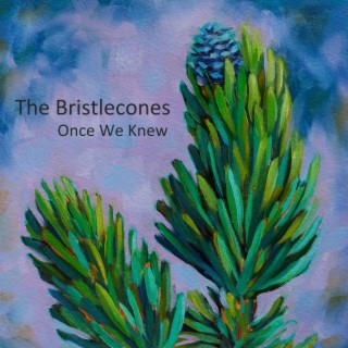 The Bristlecones