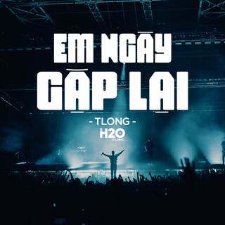 Em Ngày Gặp Lại (Remix)