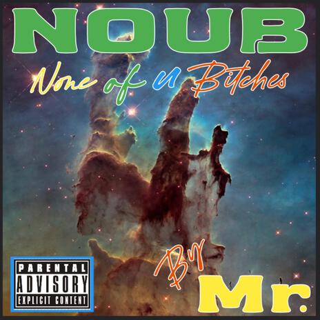 NOUB (None of u Bitches) | Boomplay Music