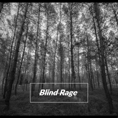 Blind Rage ft. vandull | Boomplay Music