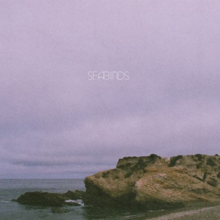 Seabirds lyrics | Boomplay Music