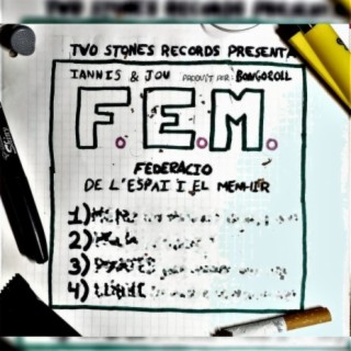 F.E.M.