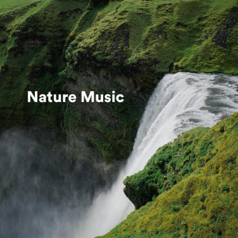 The Nature Path to Happiness ft. La Naturaleza del Sueño & Nature Recordings