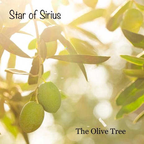 The Olive Tree | Boomplay Music