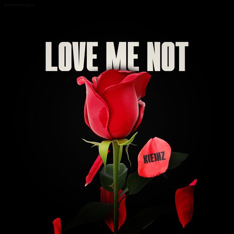 Love Me Not | Boomplay Music