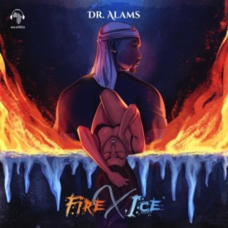 Fire & Ice (Remix)