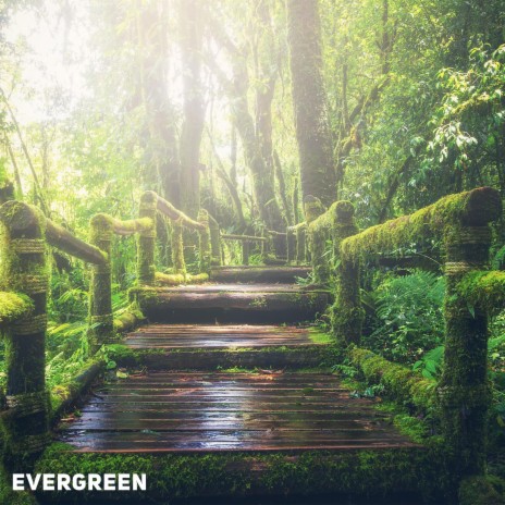 Evergreen | Boomplay Music