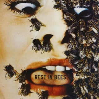 Rest in Bees
