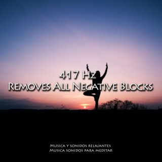 417 Hz Removes All Negative Blocks