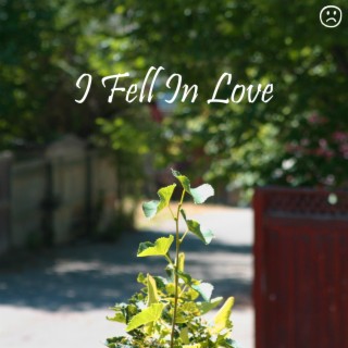 I Fell In love lyrics | Boomplay Music