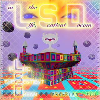 in Life, the Sentient Dream