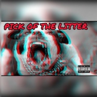 Pick Of The Litter lyrics | Boomplay Music