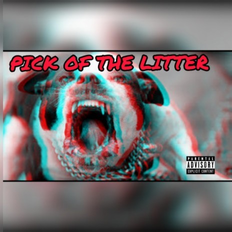 Pick Of The Litter | Boomplay Music