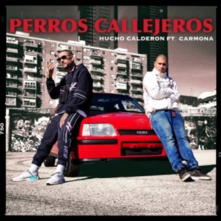 Perros Callejeros