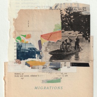 Migrations