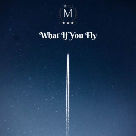What If You Fly | Boomplay Music
