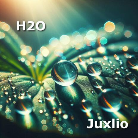 H2O