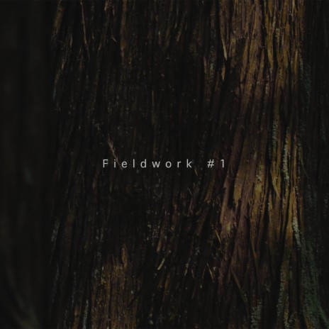 Fieldwork#1 at Miyagase | Boomplay Music