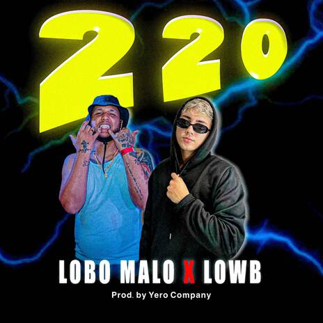 220 ft. LOWB & Yero Company