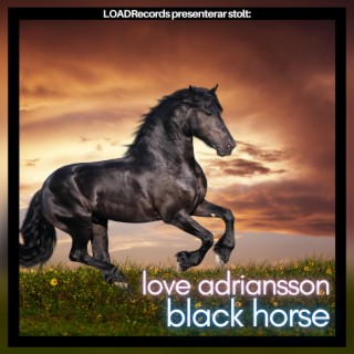 black horse