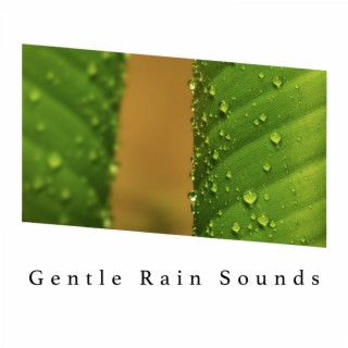 Gentle Rain Sounds