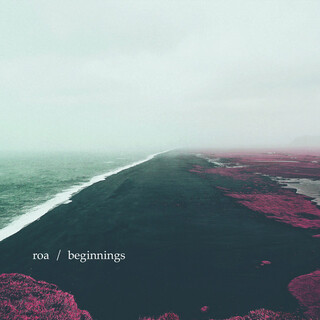 Beginnings