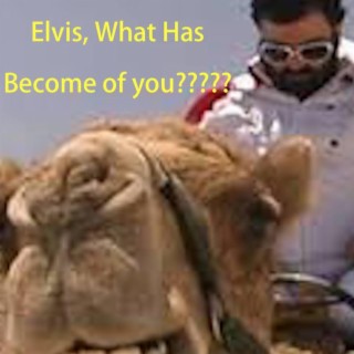 Elvis, What has become of you?