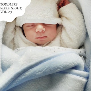 Toddlers Sleep Night, Vol. 05