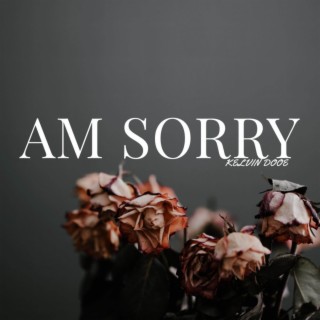 Am Sorry lyrics | Boomplay Music