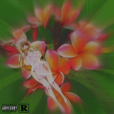 Plumeria | Boomplay Music