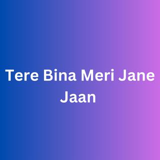 Tere Bina Meri Jane Jaan