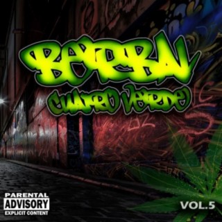 Berbal 4 Verde, Vol. 5 (Deluxe Edition)