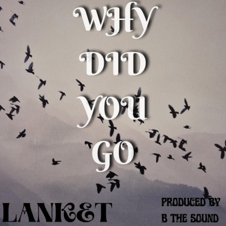 Why Did You Go
