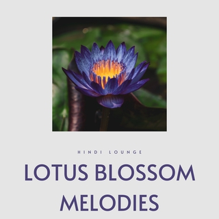 Lotus Blossom Melodies