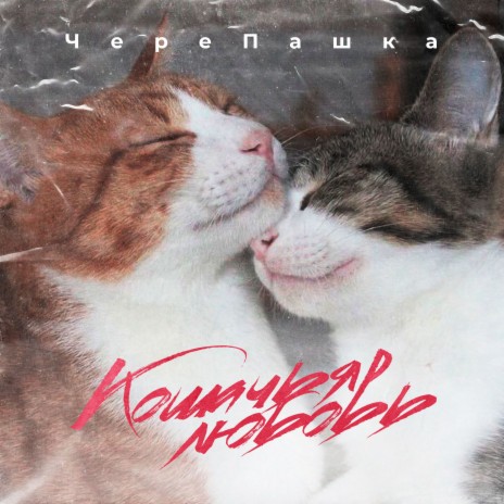 Кошачая любовь | Boomplay Music