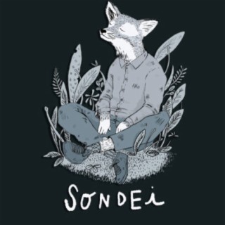 Sondei