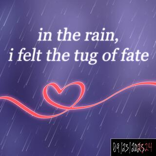 in the rain, i felt the tug of fate