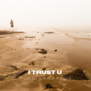 I Trust U