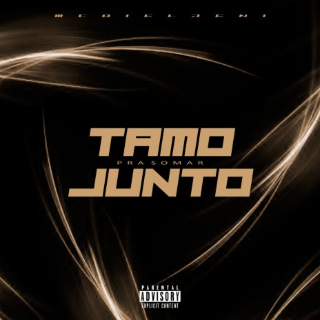 Tamo Junto pra Somar | Boomplay Music