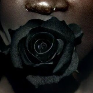 Black Roses lyrics | Boomplay Music