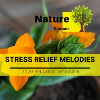 Stress Relief Melodies - 2020 Relaxing Morning